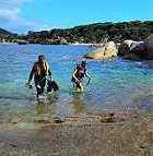 Scuba diving in Tasmania