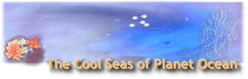 THE COOL SEAS OF PLANET OCEAN!  Click below to start exploring!  (You'll see this picture on other pages in our site.)