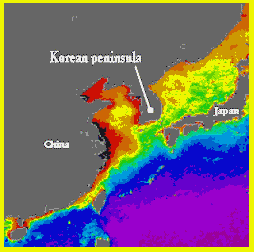 SeaWIFS phytoplankton