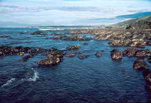 Basalt shore of the Great Coast Road, Victoria