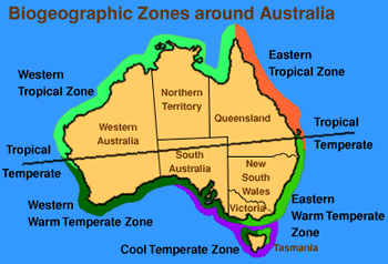 Graphic of Biogeographic zones around Australia