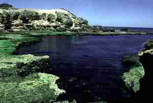 Photo of the limestone shores at Cape Schanke, Victoria