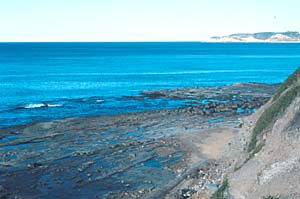 Photo of a horizontal sandstone intertidal platform