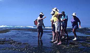 Photo of Keith Davey showing people an intertidal animal