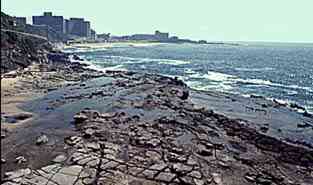 Photo of a horizontal platform on the Hawkesbury Sandstone near Newcastle, N. S. W.