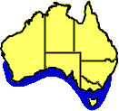 Distribution map of Schayer's Brittle Star