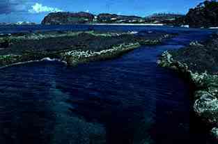 Photo of Seal Rocks, N. S. W.