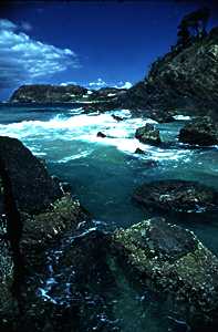 Photo of the Metamorphic shore at Seal Rocks, N. S. W.