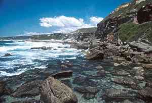 Photo of a sandstone shore of the Hawkesbury Sandstone